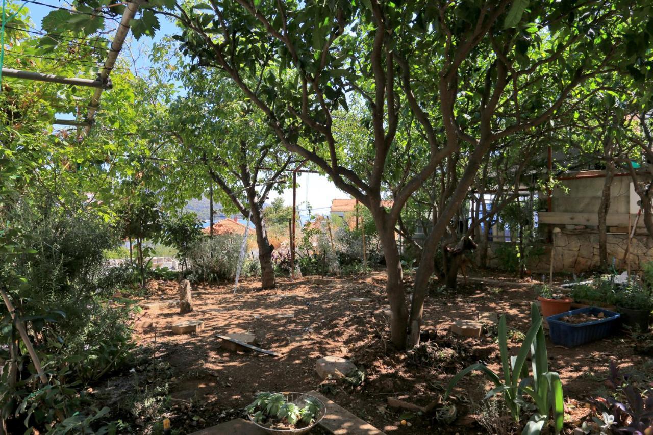 טרוגיר Apartments By The Sea Businci, Ciovo - 9450 מראה חיצוני תמונה
